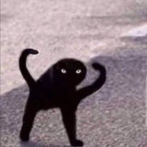 Meet your Posher, Jean